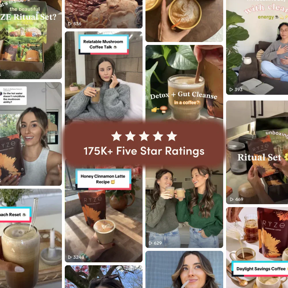 Dark Roast Starter Kit - Daily Edition 46