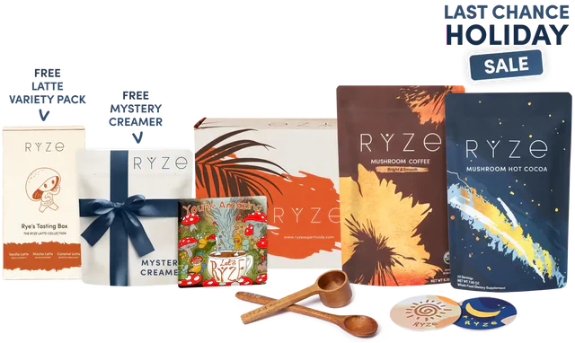 Day + Night Bundle - Soft Note 29
