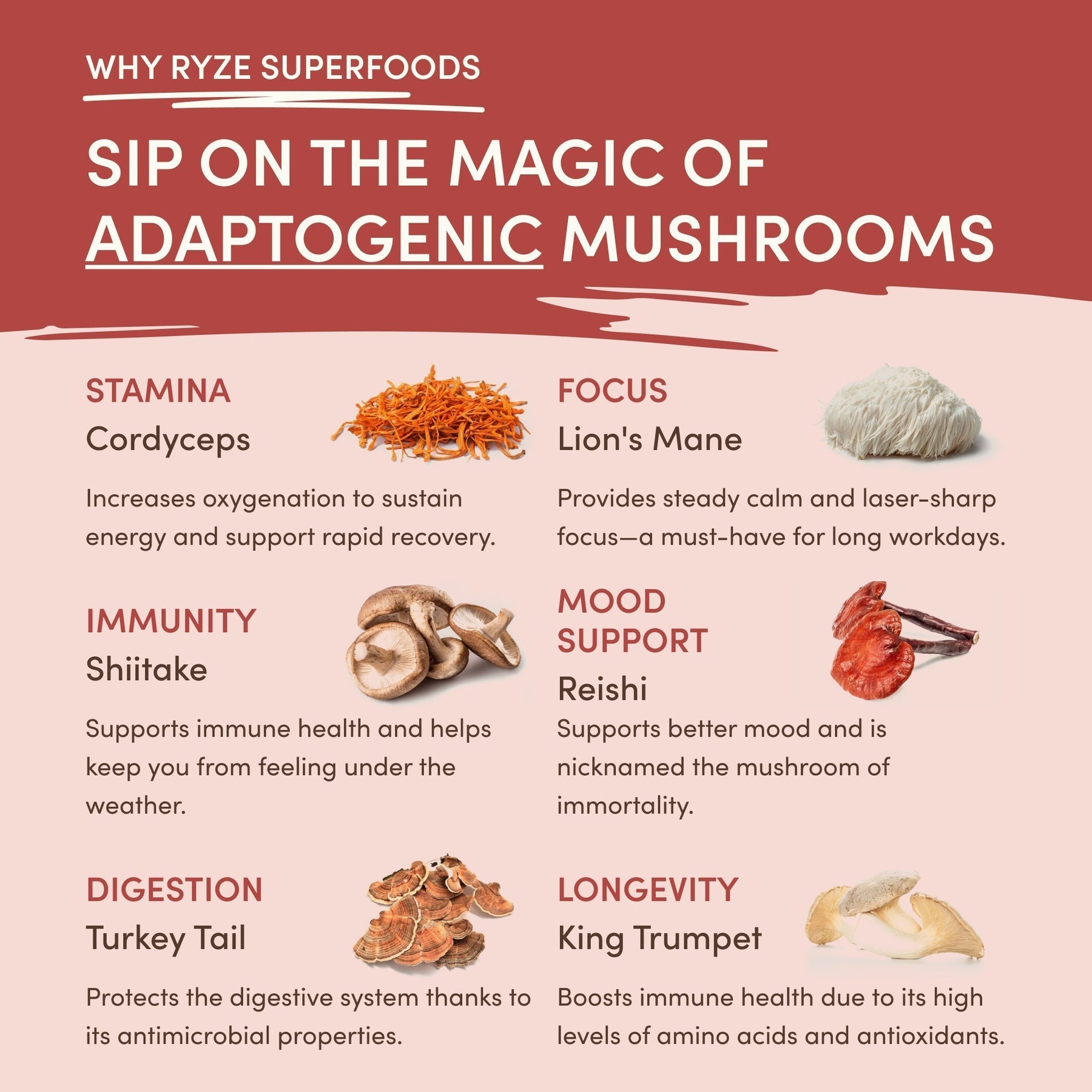 Mushroom Chai - Soft Choice 87
